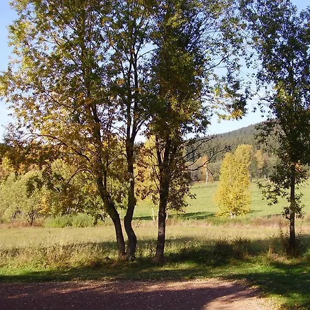 Bazum Horní Vltavice