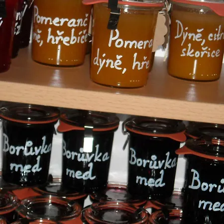 Bazum Horní Vltavice