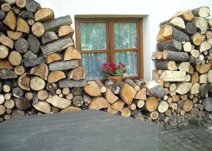 Bazum 招待所 Horní Vltavice