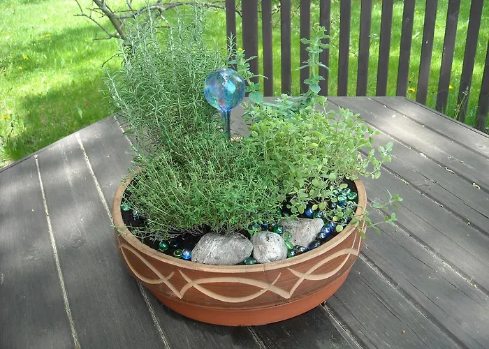 Bazum 招待所 Horní Vltavice