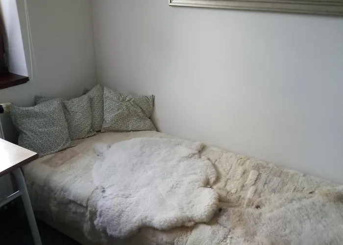 Bazum 招待所 Horní Vltavice